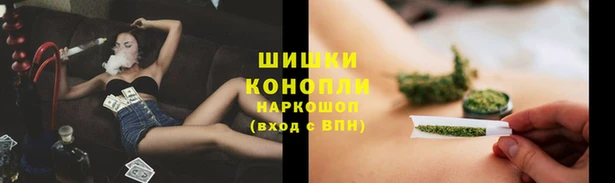 гашик Арсеньев