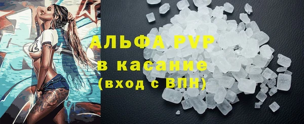 гашик Арсеньев