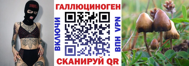 Псилоцибиновые грибы прущие грибы  ОМГ ОМГ ONION  Озёрск 